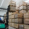Treehub_DSC09457.jpg