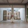Treehub_DSC09444.jpg